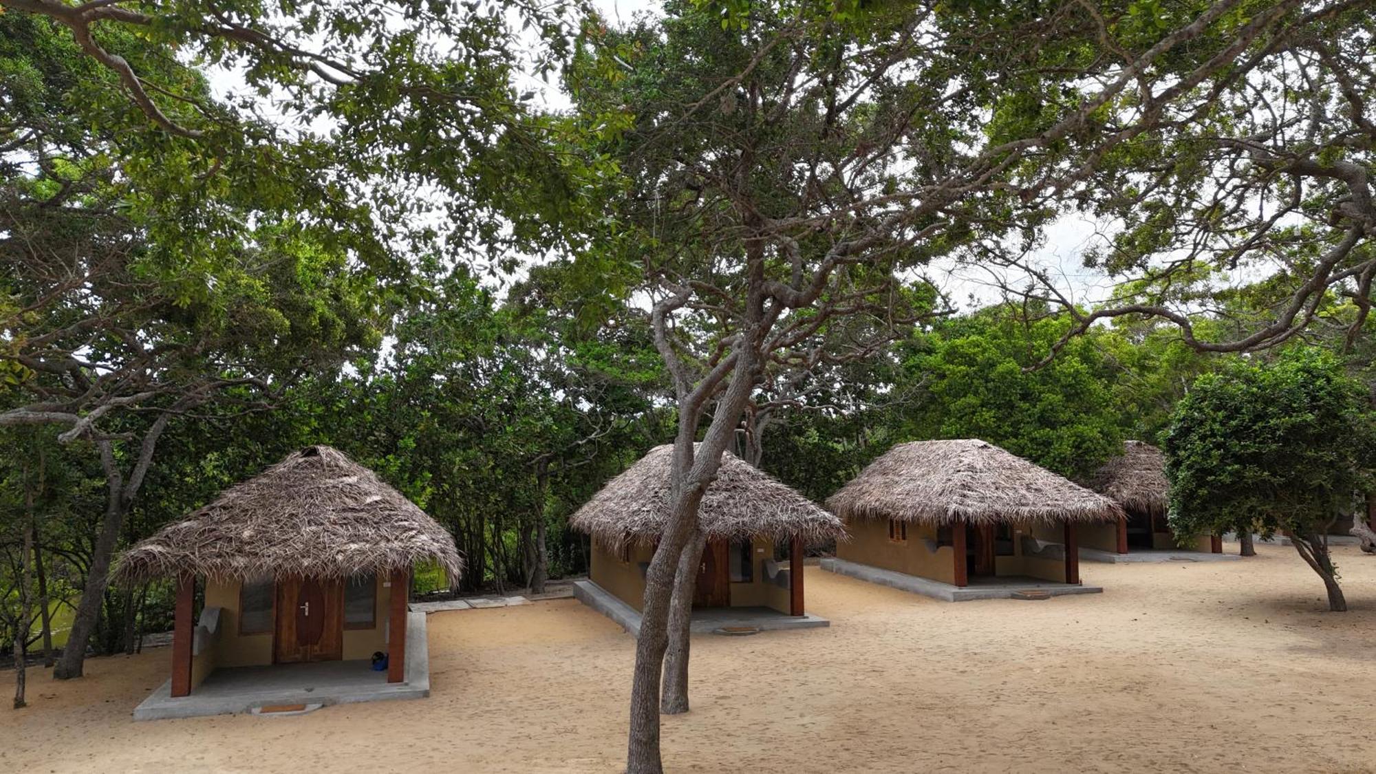 Peanut Farm Surf And Wild Resort - Arugambay Arugam Bay Exterior foto