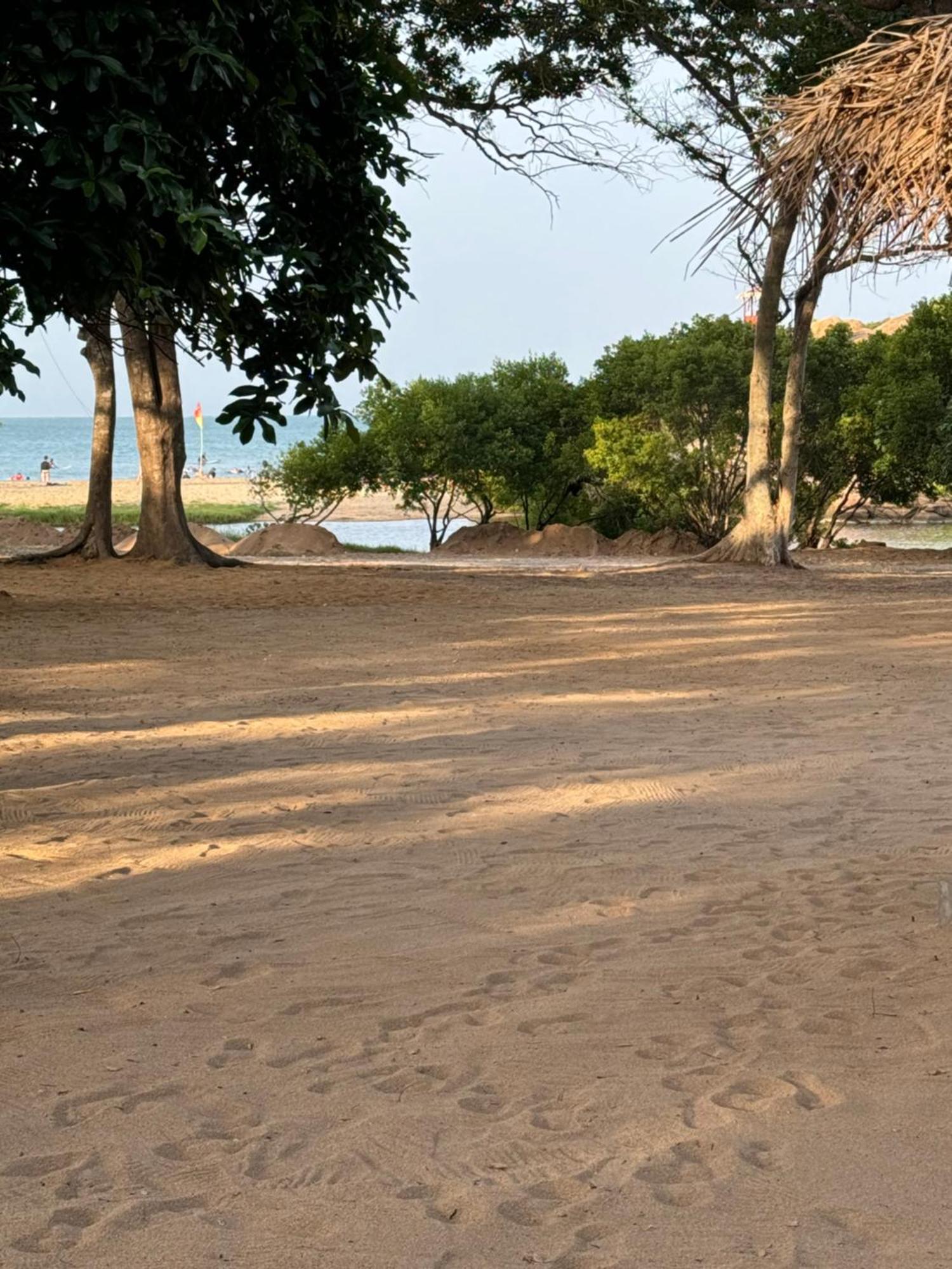 Peanut Farm Surf And Wild Resort - Arugambay Arugam Bay Exterior foto